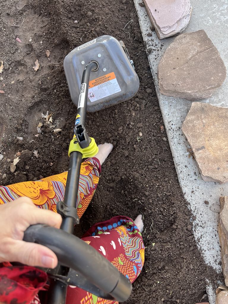 Seizing the Day: Pre-Spring Prep in an Unexpected January Heatwave