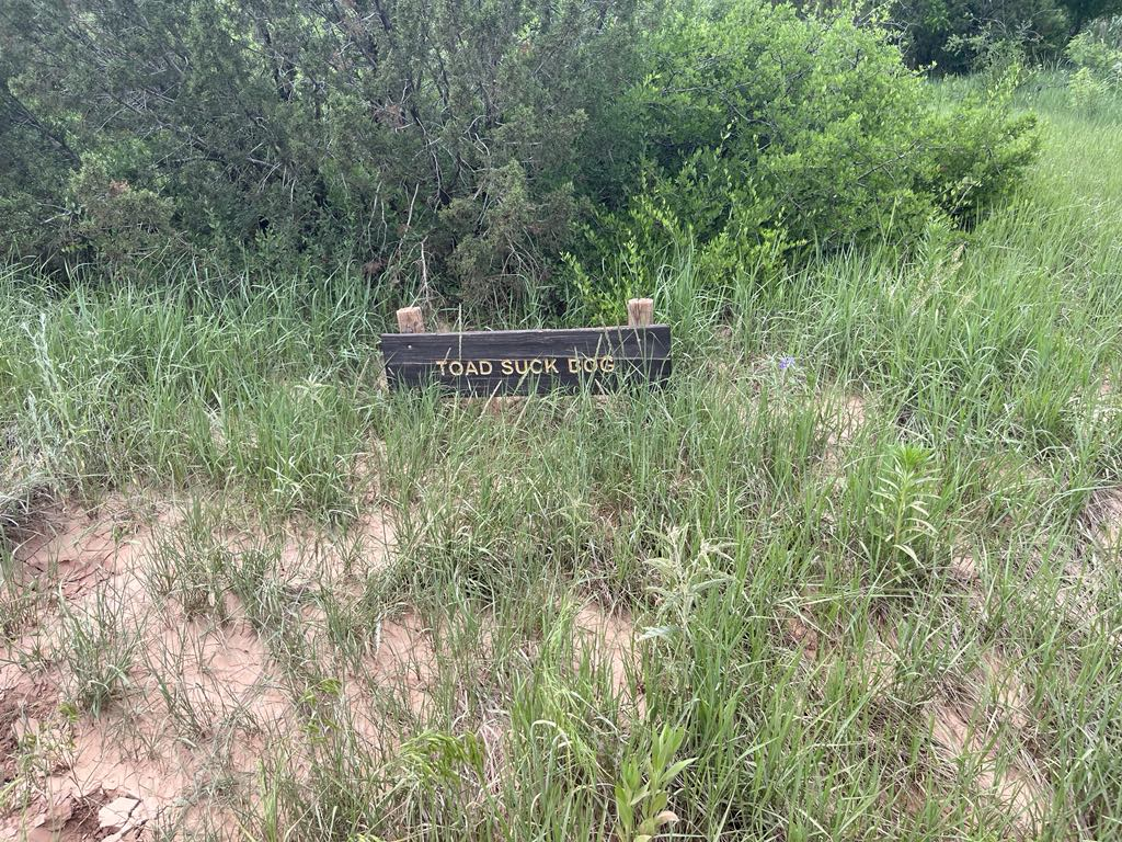 🥾 Trail Tuesday: Toad Suck Bog & the Blooming Canyons